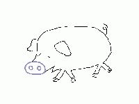 200821_pig_1.jpg