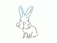 200823_rabbit_1.jpg