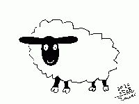 200908_goat_sheep.jpg