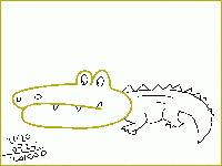 200924_Alligator_1.jpg