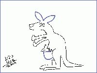201004_kangaroo_1.jpg
