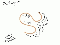 220617_octopus_1.jpg