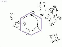 211104_hexagon_5.jpg